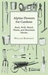 William Robinson - Alpine Flowers for Gardens - Rock, Wall, Marsh Plants, and Mountain Shrubs