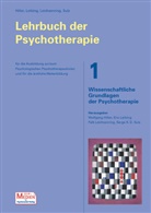 Wolfgang Hiller, Eric Leibing, Falk Leichsenring - Lehrbuch der Psychotherapie - Bd.1: Wissenschaftliche Grundlagen der Psychotherapie