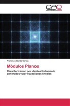 Francisco Quiróz García - Módulos Planos