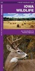 J. M. Kavanagh, James Kavanagh, James/ Leung Kavanagh, Waterford Press, Raymond Leung - Iowa Wildlife