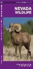 J. M. Kavanagh, James Kavanagh, James/ Leung Kavanagh, Waterford Press, Raymond Leung - Nevada Wildlife