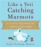 Padma-Tshe-Dban, Shastri Pema-Tsewang, Pema Tsewang Shastri, Pema Tsewang, Pema Tsewang Shastri, Josh Bartok - Like a Yeti Catching Marmots