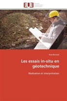Riad BENZAID, Benzaid-R - Les essais in-situ en geotechnique