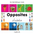 Milet Publishing - Opposites English-Urdu