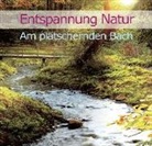 Karl-Heinz Dingler - Entspannung Natur - Am plätschernden Bach, 1 Audio-CD (Hörbuch)