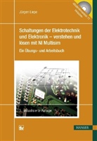 Jürgen Liepe - Schaltungen der Elektrotechnik und Elektronik - verstehen und lösen mit NI Multisim, m. DVD-ROM