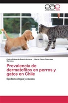 Pedro  Eduardo Brevis Azócar, Pedro Eduard Brevis Azócar, Pedro Eduardo Brevis Azócar, Mar Gónzalez Cancino, María Elena Gónzalez Cancino - Prevalencia de dermatofitos en perros y gatos en Chile