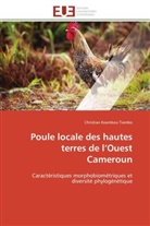 Christian Keambou Tiambo, Tiambo-C - Poule locale des hautes terres de