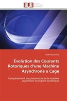 Malek Bouharkat, Bouharkat-M - Evolution des courants rotoriques