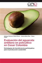 Diana Cabal, Aslenis Melo Rios, Adriana Patrici Tofiño Rivera, Adriana Patricia Tofiño Rivera - Evaluación del aguacate antillano en policultivo en Cesar Colombia
