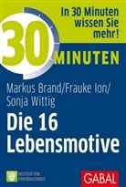 Bran, Marku Brand, Markus Brand, Markus (Dipl.-Psych.) Brand, Ion, Frauk Ion... - Die 16 Lebensmotive