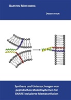 Karsten Meyenberg - Synthese und Untersuchungen von peptidischen Modellsystemen für SNARE-induzierte Membranfusion