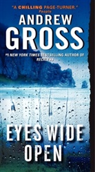 Andrew Gross - Eyes Wide Open
