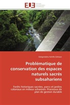 Gbègnidaho Achille Zohoun, Zohoun-g - Problematique de conservation des