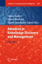 Djamel Abdelkader Zighed, Fabrice Guillet, Gilber Ritschard, Gilbert Ritschard, Djamel Abdelkader Zighed - Advances in Knowledge Discovery and Management. Vol.2