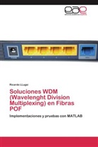 Ricardo Llugsi - Soluciones WDM (Wavelenght Division Multiplexing) en Fibras POF