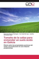 Esperanz Álvarez Rodríguez, Esperanza Álvarez Rodríguez, He, Josefina Hernández Nistal, An Viadé Borrego, Ana Viadé Borrego - Tamaño de la caliza para enmendar un suelo ácido en Galicia