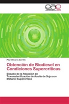 Pilar Olivares Carrillo - Obtención de Biodiesel en Condiciones Supercríticas