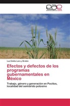 Luz Emilia Lara y Bretón - Efectos y defectos de los programas gubernamentales en México