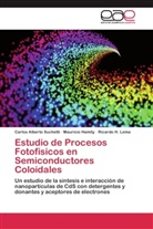 Maurici Hamity, Mauricio Hamity, Ri Lema, Ricardo H. Lema, Carlos Albert Suchetti, Carlos Alberto Suchetti - Estudio de Procesos Fotofísicos en Semiconductores Coloidales