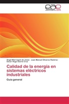 Ange Marroquin De Jesus, Angel Marroquin De Jesus, Ánge Marroquín de Jesús, Ángel Marroquín de Jesús, Juan M Olivares Ramirez, Juan Manuel Olivares Ramirez... - Calidad de la energía en sistemas eléctricos industriales