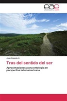 Juan Cepeda H, Juan Cepeda H. - Tras del sentido del ser