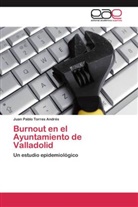 Juan Pablo Torres Andrés - Burnout en el Ayuntamiento de Valladolid