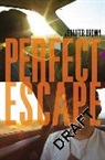 Jennifer Brown - Perfect Escape