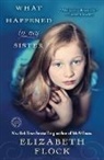 Elizabeth Flock - What Happened to My Sister