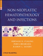 Paru Bhargava, Parul Bhargava, Bhargava Parul, Cualing, H Cualing, Hernan Cualing... - NON NEOPLASTIC HEMATOPATHOLOGY AND
