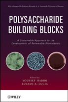 Y Habibi, Yousse Habibi, Youssef Habibi, Youssef Lucia Habibi, Youssef/ Lucia Habibi, HABIBI YOUSSEF LUCIA LUCIAN A... - Polysaccharide Building Blocks