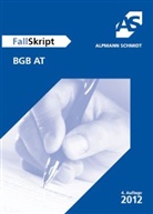 Oliver Strauch - Fallskript BGB AT