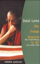 Dalai Lama XIV. - Der Friede beginnt in dir