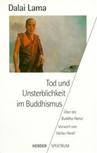 Dalai Lama XIV. - Tod und Unsterblichkeit im Buddhismus