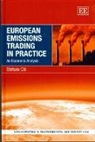 Stefano Clo, Stefano Clò - European Emissions Trading in Practice