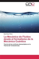 Raúl César Pérez - La Mecánica de Fluidos desde el formalismo de la Mecánica Cuántica