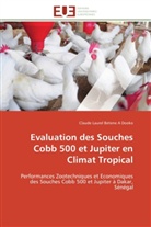 Claude Laurel Betene A Dooko, Betene a dooko-c - Evaluation des souches cobb 500