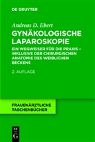 Andreas D Ebert, Andreas D. Ebert - Gynäkologische Laparoskopie