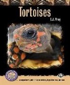 E J Pirog, E. J. Pirog - Tortoises