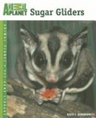 David E. Boruchowitz - Sugar Gliders