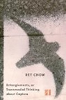 Rey Chow - Entanglements, Or Transmedial Thinking About Capture