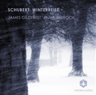 Franz Schubert, James Gilchrist, Anna Tilbrook - Winterreise, 1 Audio-CD (Hörbuch)