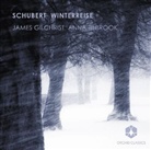 Franz Schubert, James Gilchrist, Anna Tilbrook - Winterreise, 1 Audio-CD (Audio book)