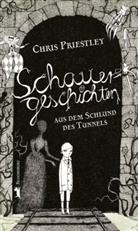 Chris Priestley, David Roberts - Schauergeschichten aus dem Schlund des Tunnels