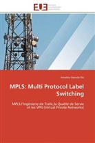 Amadou Daouda Dia, Dia-a - Mpls: multi protocol label switchin