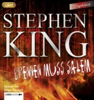 Stephen King, Jürgen Kluckert - Brennen muss Salem, 3 Audio-CD, 3 MP3 (Audiolibro)