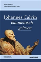 Andr Birmelé, André Birmelé, André                         10002298200 Birmelé, Thönissen, Wolfgang Thönissen - Johannes Calvin ökumenisch gelesen