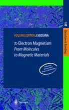D. Arcon, M. Deumal, K. Inoue, M. Kinoshita, Jaume Veciana - pi-Electron Magnetism
