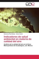 Arturo Curiel, Genovev Pinal Gómez, Genoveva Pinal Gómez - Indicadores de salud ambiental en materia de calidad del aire