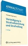 Michael Heghmanns - Verteidigung in Strafvollstreckung und Strafvollzug